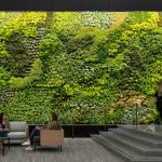 ERCO Whitepaper: So gelingt die Beleuchtung von Green Walls