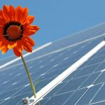 Solarbranche hofft auf Nachbesserung beim Solarpaket I