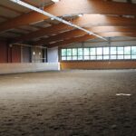 Beleuchtung: Sporthalle ist nicht gleich Sporthalle