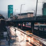 Bereits wenig künstliches Licht gefährdet Ökosysteme