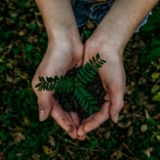 Foto: unsplash