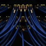 Nur jeder Achte kennt persönlichen CO2-Fußabdruck